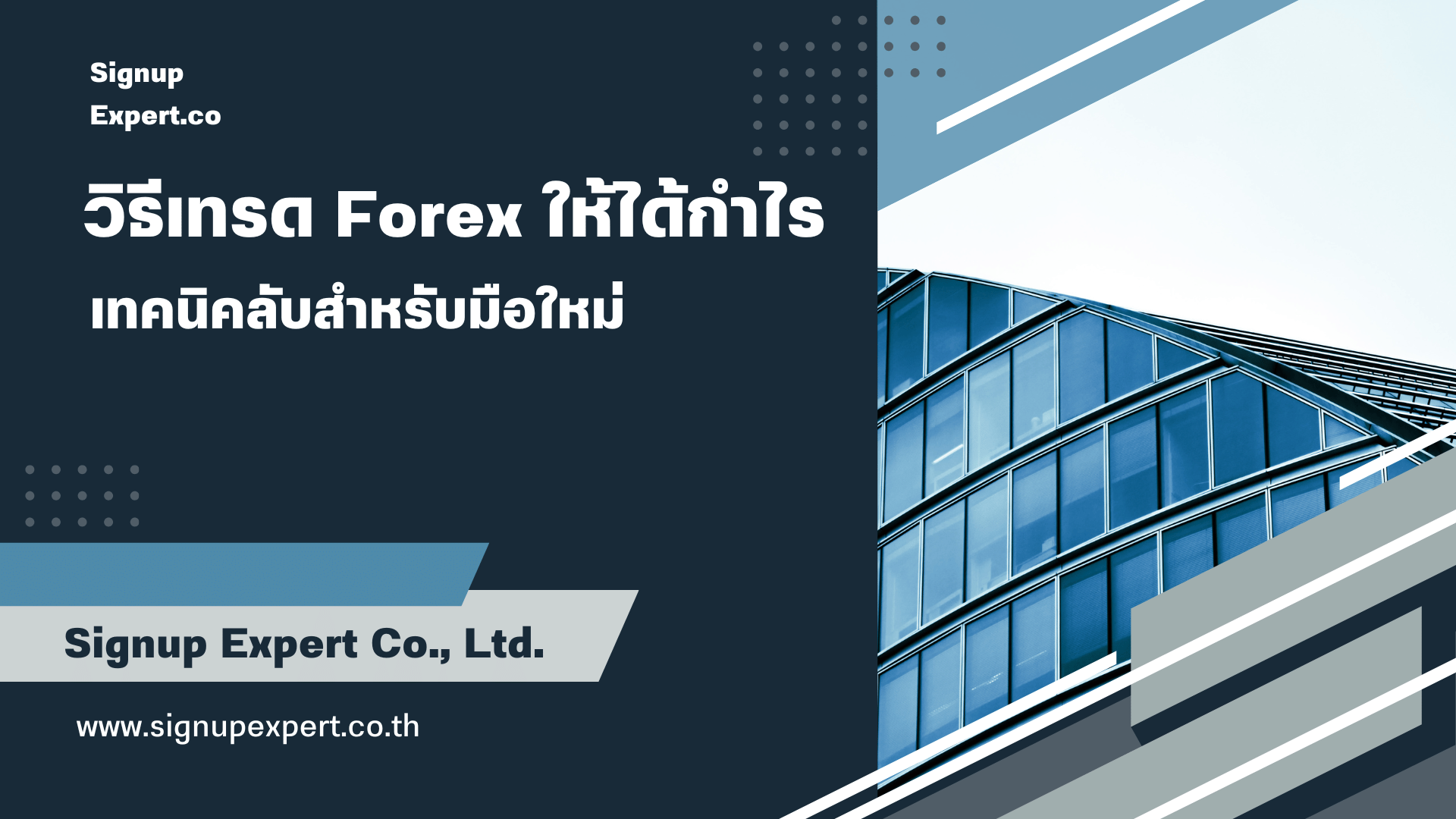 วิธีเทรด Forex ให้ได้กำไร เทคนิคลับสำหรับมือใหม่