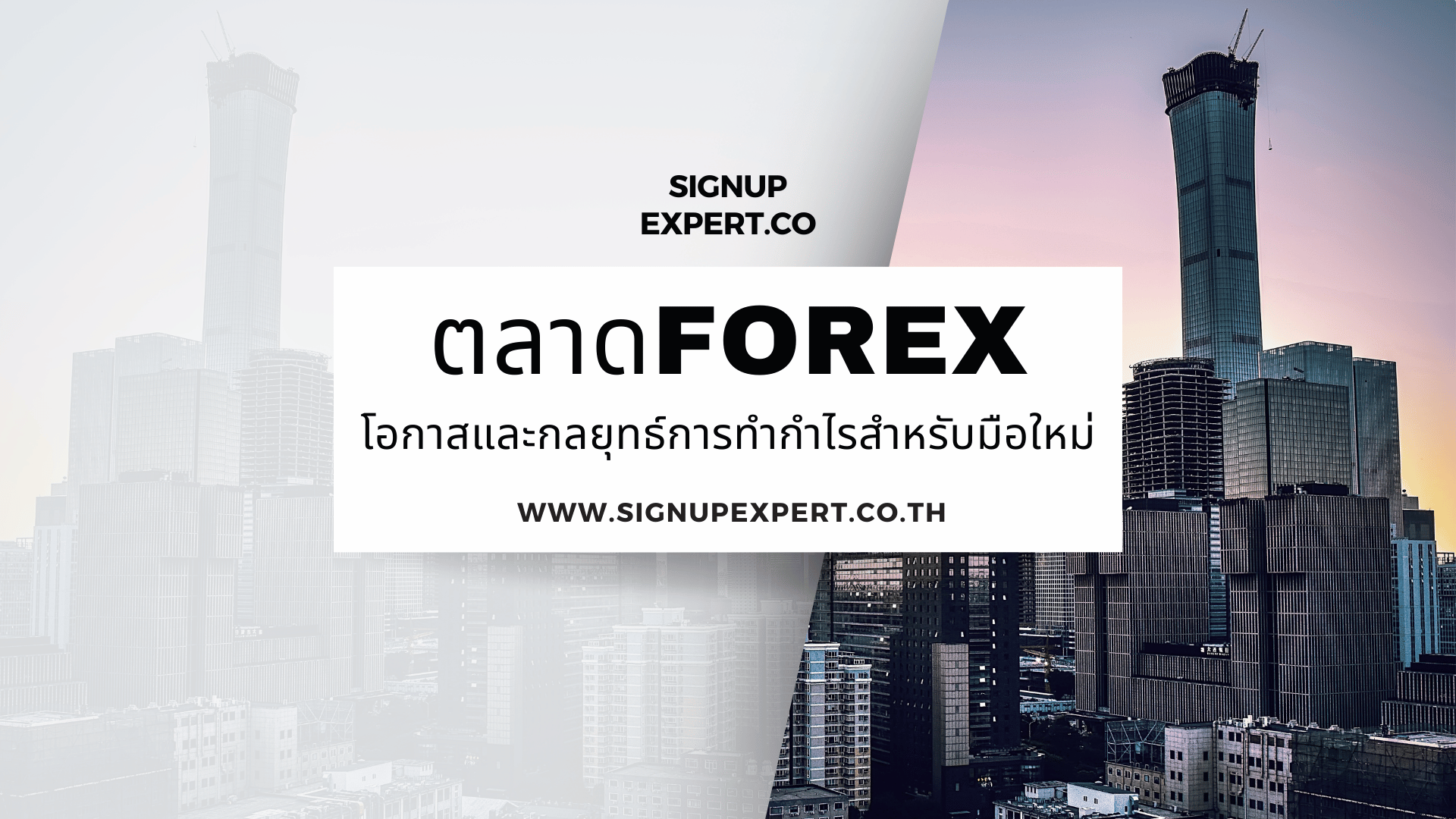 ตลาดForex โอกาสและกลยุทธ์การทำกำไรสำหรับมือใหม่