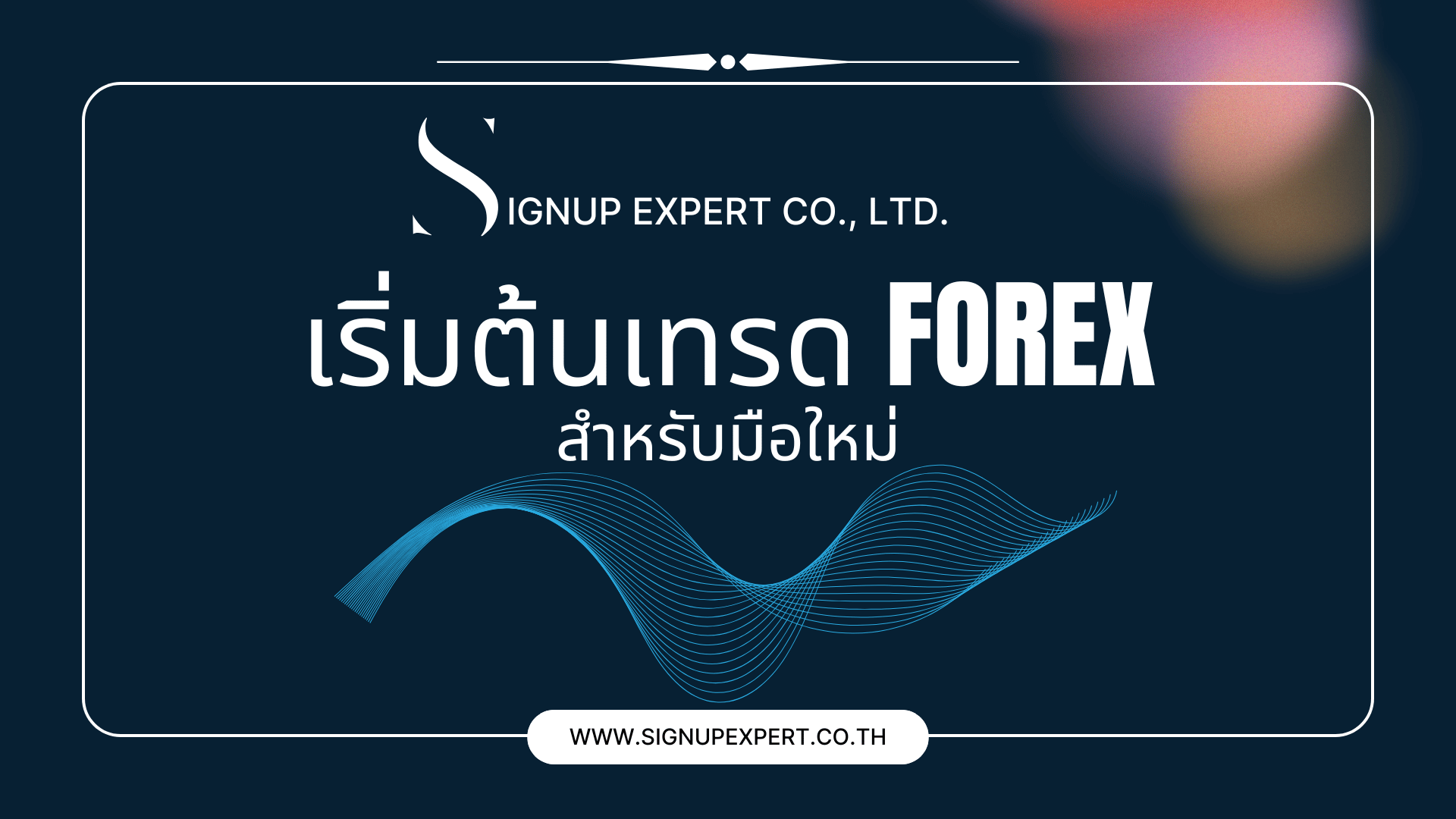 เริ่มต้นเทรด forex สำหรับมือใหม่