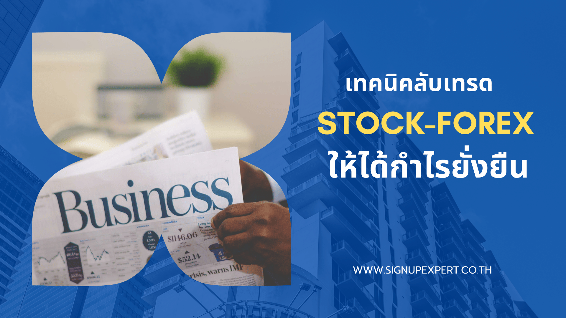 เทคนิคลับเทรด stock forex ให้ได้กำไรยั่งยืน