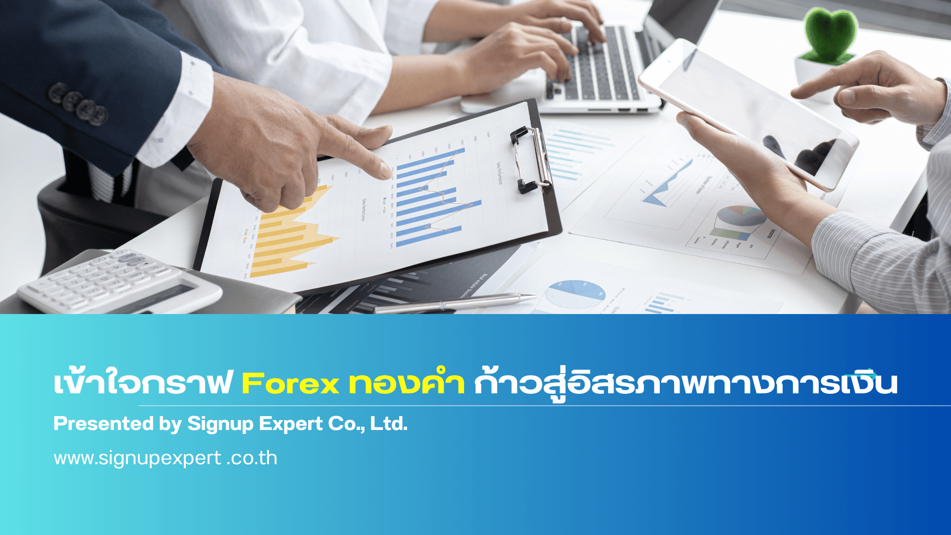 เข้าใจกราฟ Forex ทองคำก้าวสู่อิสรภาพทางการเงิน