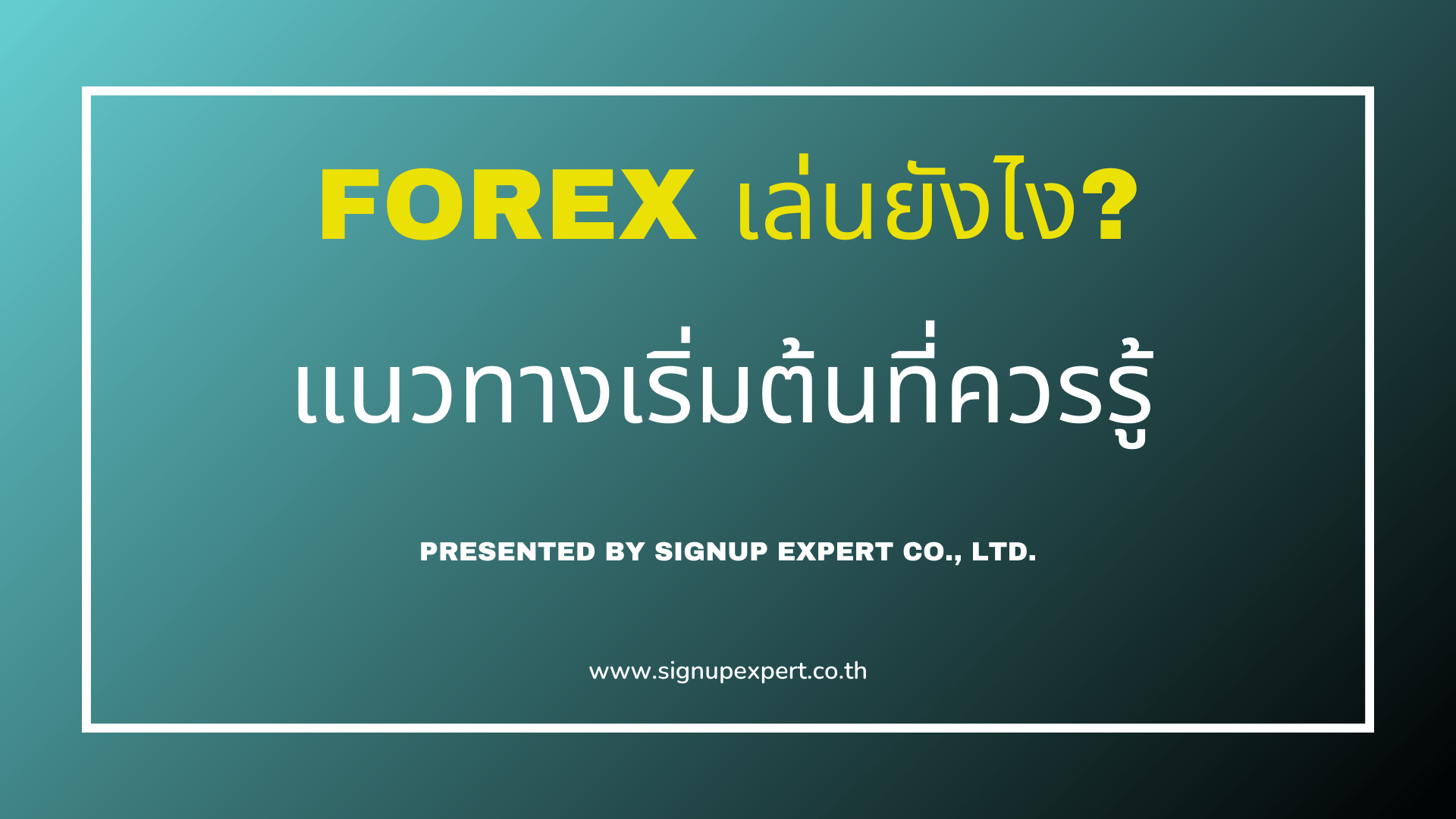 Forex เล่นยังไง แนวทางเริ่มต้นที่ควรรู้