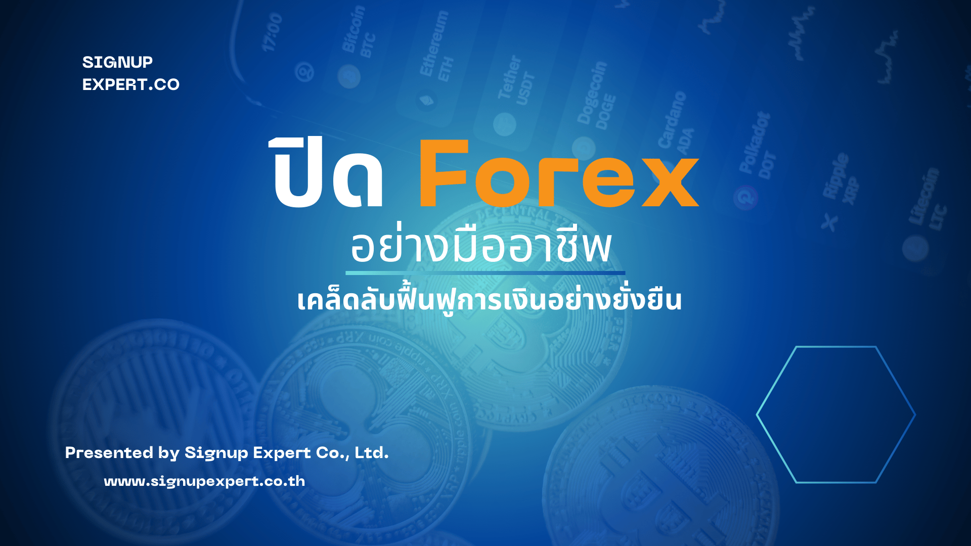 ปิด Forex อย่างมืออาชีพ: เคล็ดลับฟื้นฟูการเงินอย่างยั่งยืน