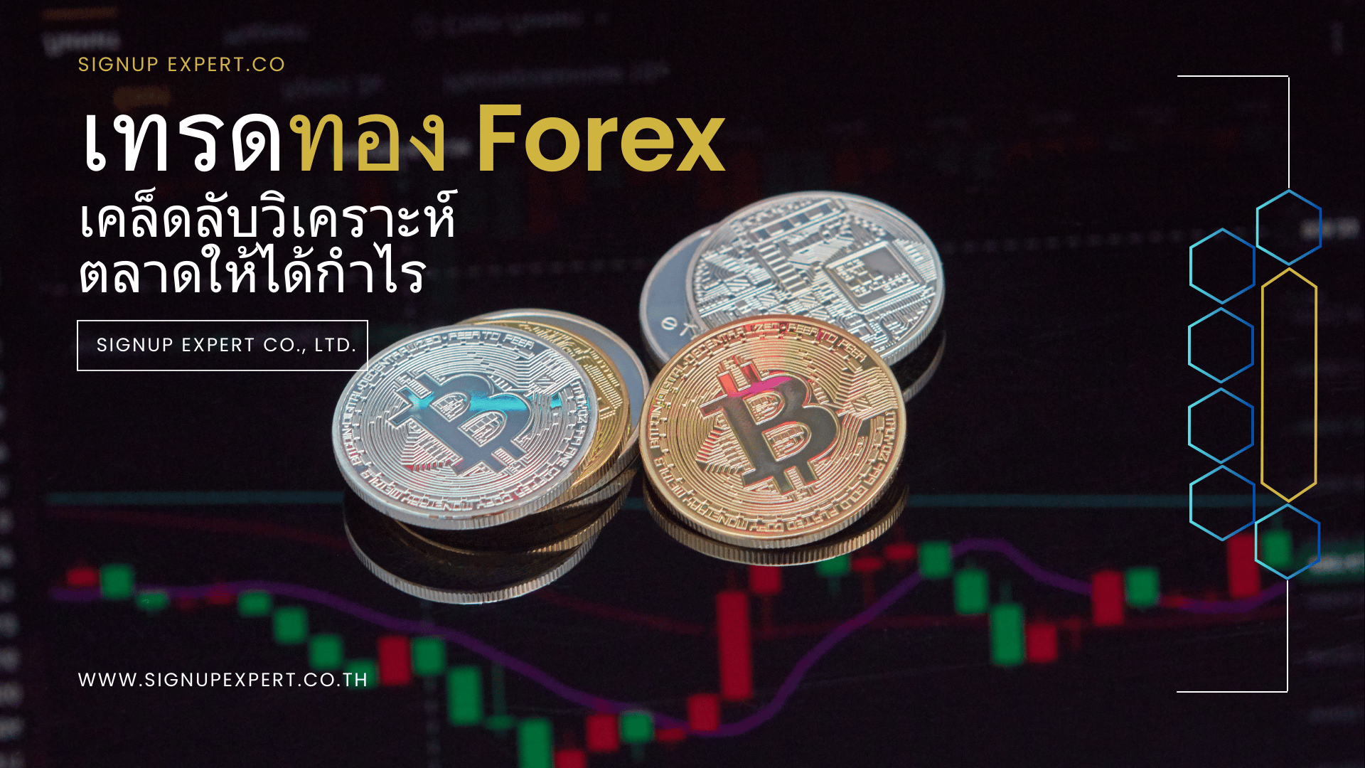 เทรดทอง Forex เคล็ดลับวิเคราะห์ตลาดให้ได้กำไร