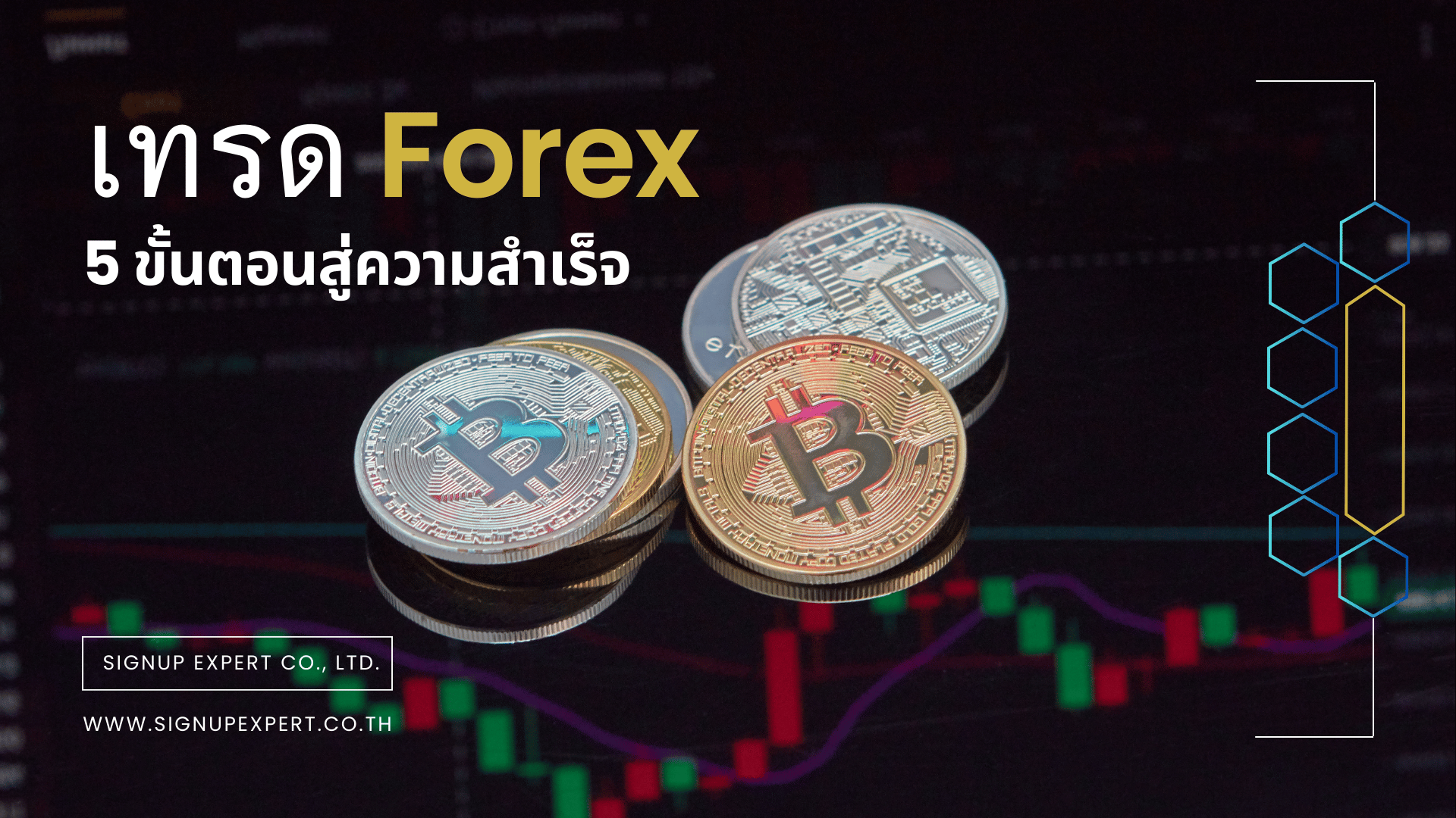 เทรด Forex มือใหม่: 5 ขั้นตอนสู่ความสำเร็จ