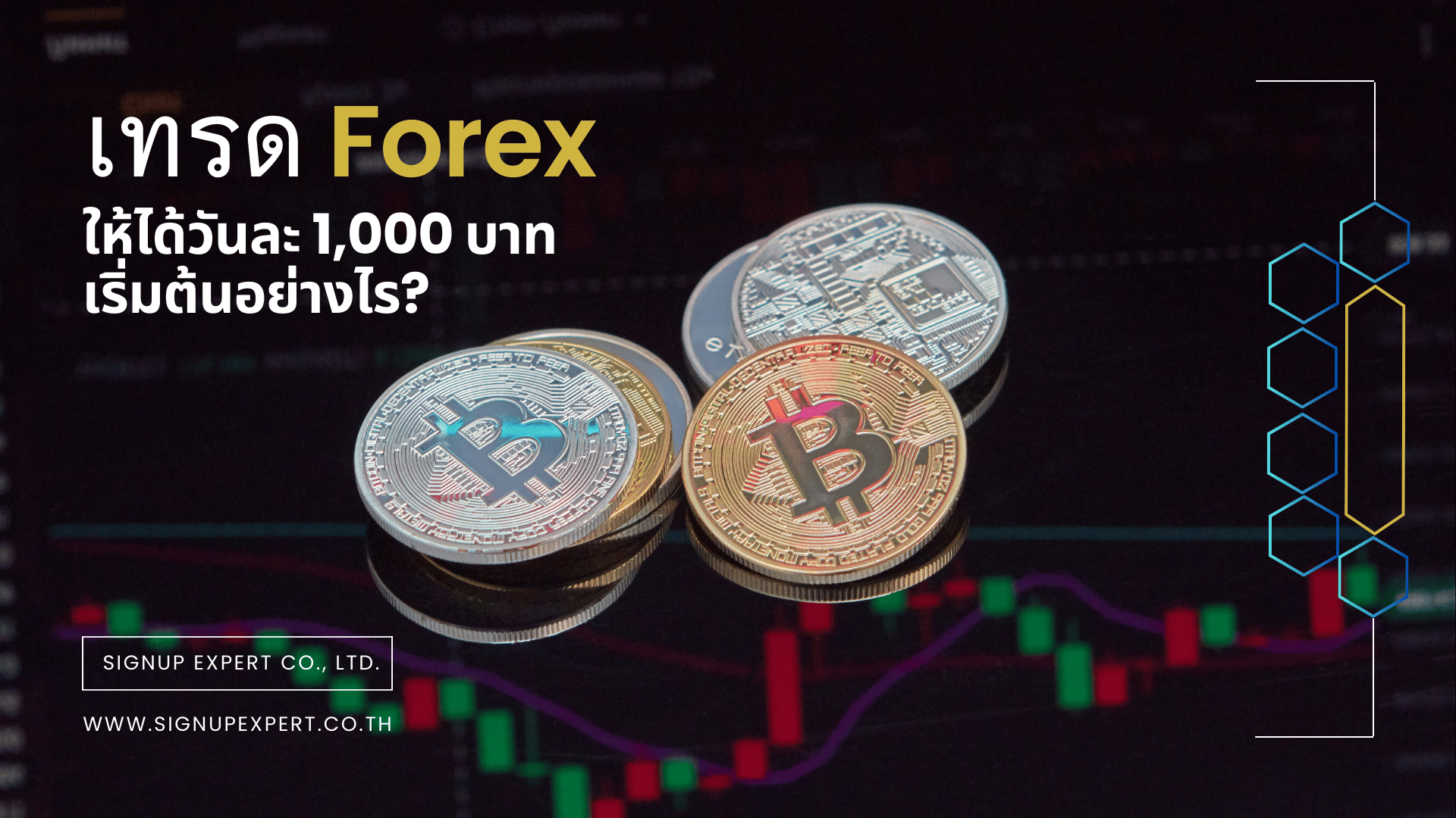 เทรด Forex ให้ได้วันละ 1000 บาท เริ่มต้นอย่างไร