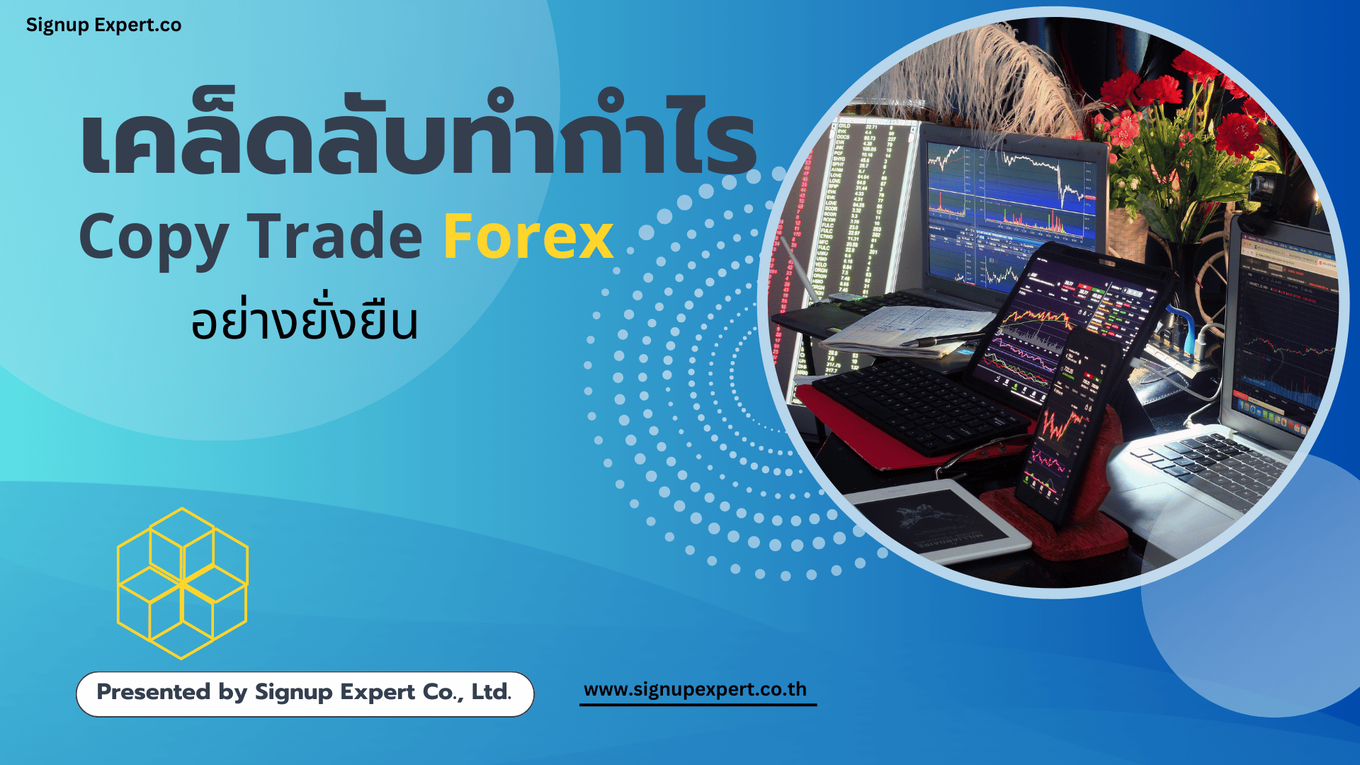 เคล็ดลับทำกำไร Copy trade forex อย่างยั่งยืน