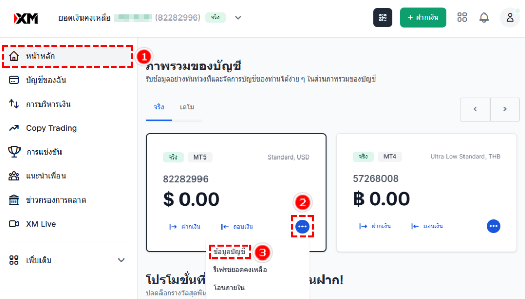 ภาพแนะนำวิธีตรวจสอบรายละเอียดบัญชีที่เปิดแล้ว XM (สำหรับคอมพิวเตอร์)