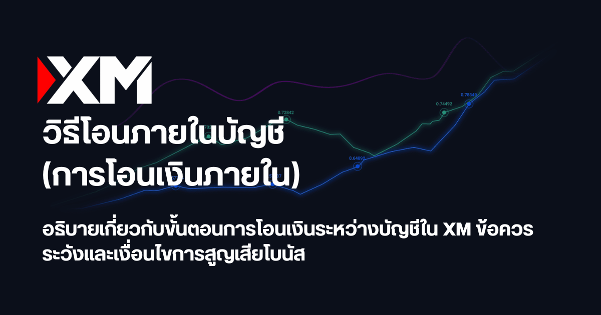 วิธีโอนภายในบัญชี XM ฉบับสมบูรณ์ และข้อควรระวังเรื่องโบนัส